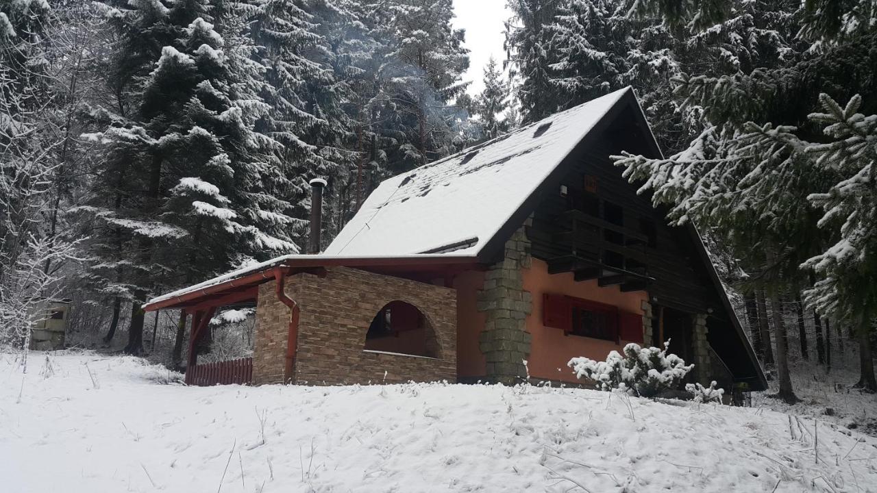 Chata Kiki Malino Brdo Ruzomberok Bagian luar foto