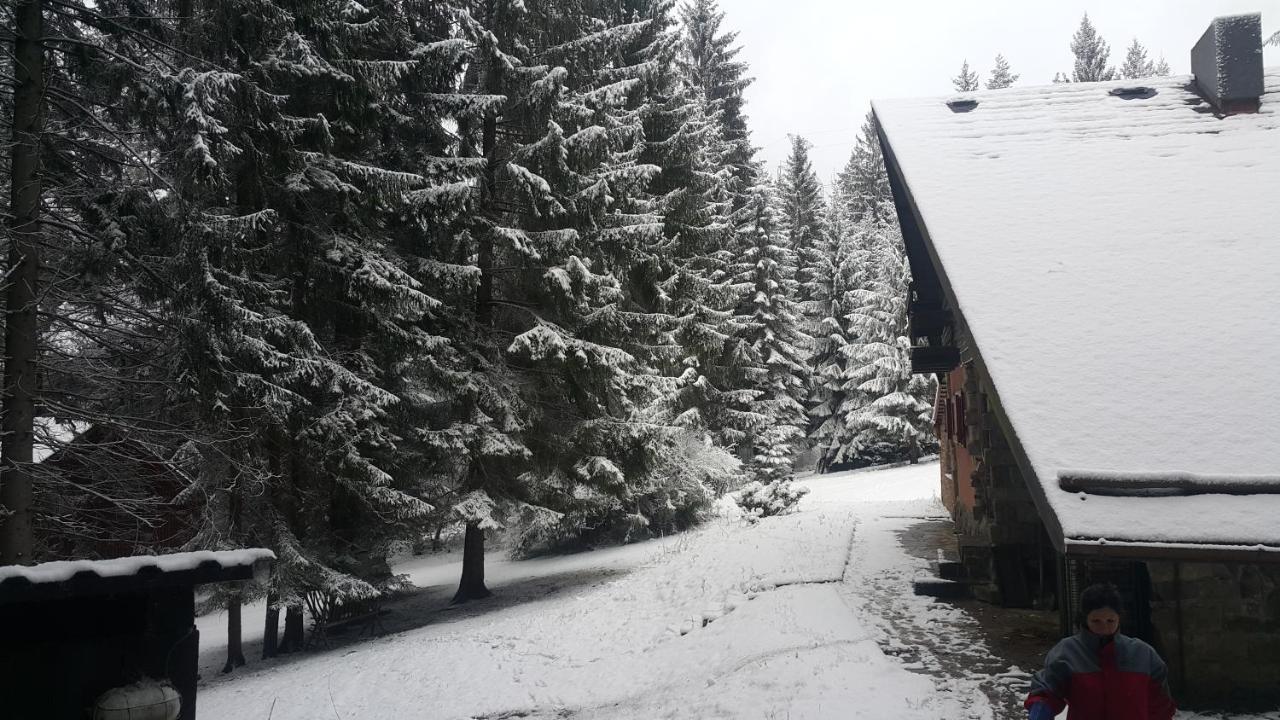 Chata Kiki Malino Brdo Ruzomberok Bagian luar foto