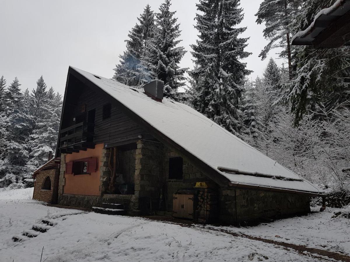 Chata Kiki Malino Brdo Ruzomberok Bagian luar foto